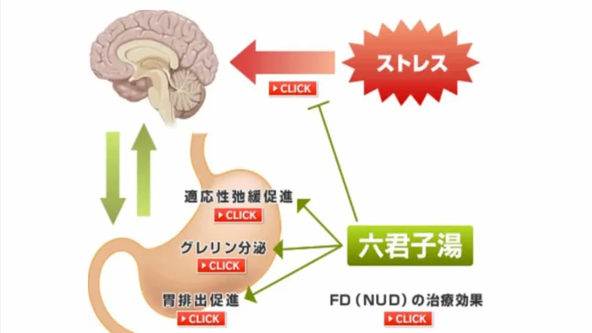 ギャクリアは その主成分である六君子湯の効果よりもマーケティング手法の方が効果的 院長ブログ 五本木クリニック